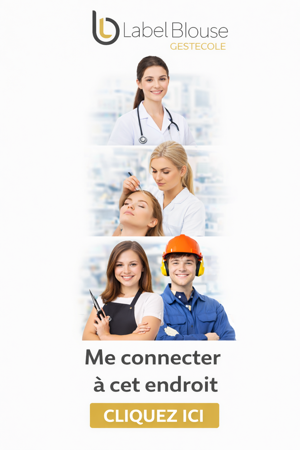 Balise alt de l'image